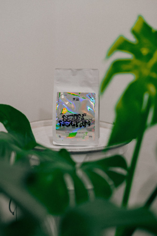 WOOD & CO x AUDREY neon nectar collab coffee