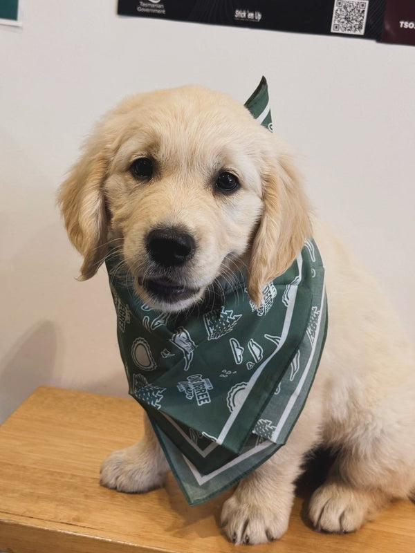 One Degree Warmer bandana