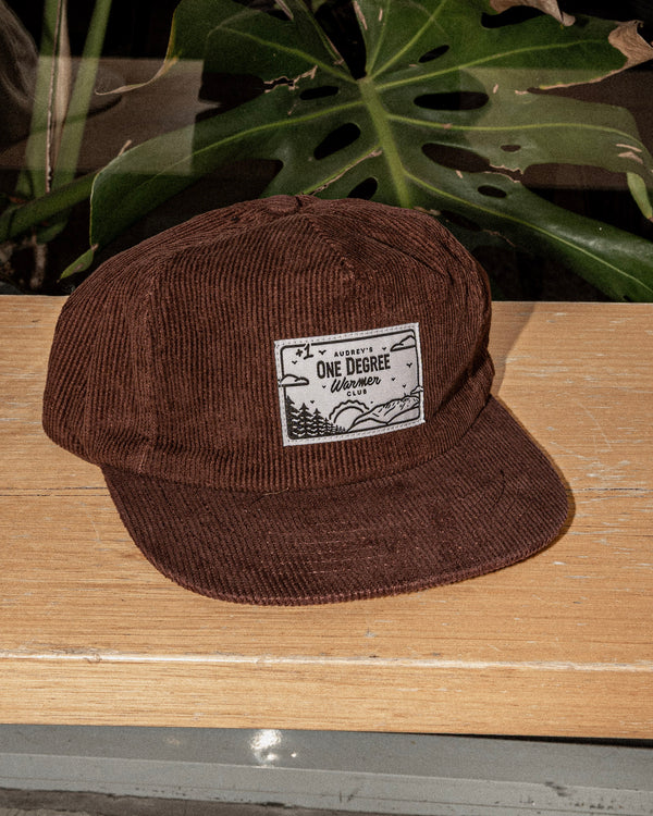 One Degree Warmer cap