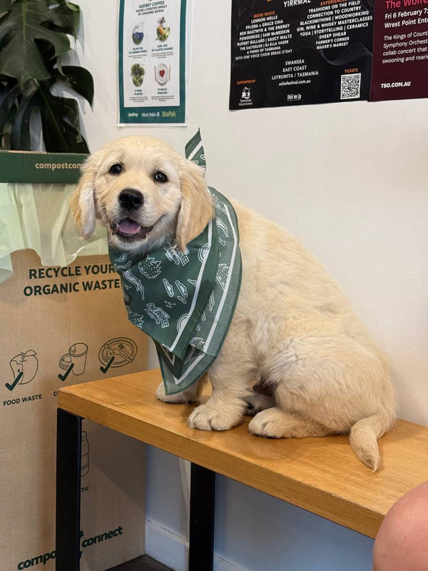 One Degree Warmer bandana